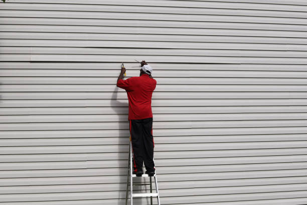 Best Stone Veneer Siding  in Monroe, NC