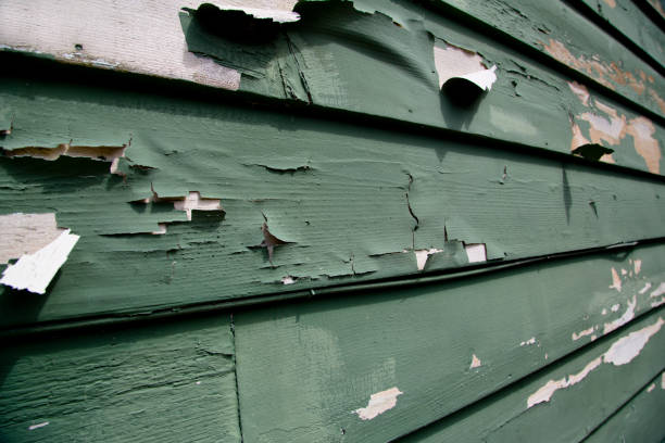 Best Custom Siding Design  in Monroe, NC