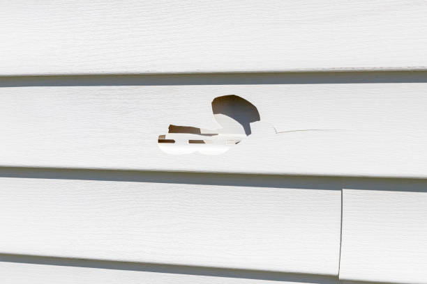 Best Storm Damage Siding Repair  in Monroe, NC