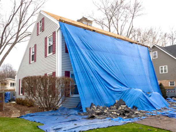 Best Custom Trim and Detailing for Siding  in Monroe, NC
