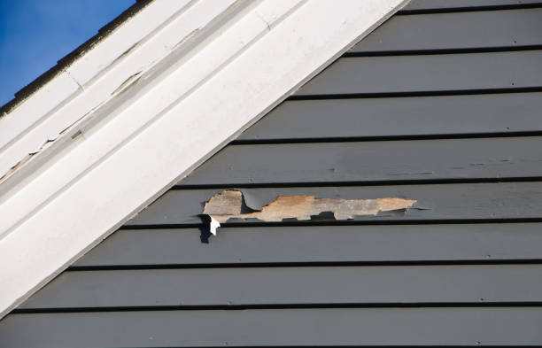 Best Stone Veneer Siding  in Monroe, NC